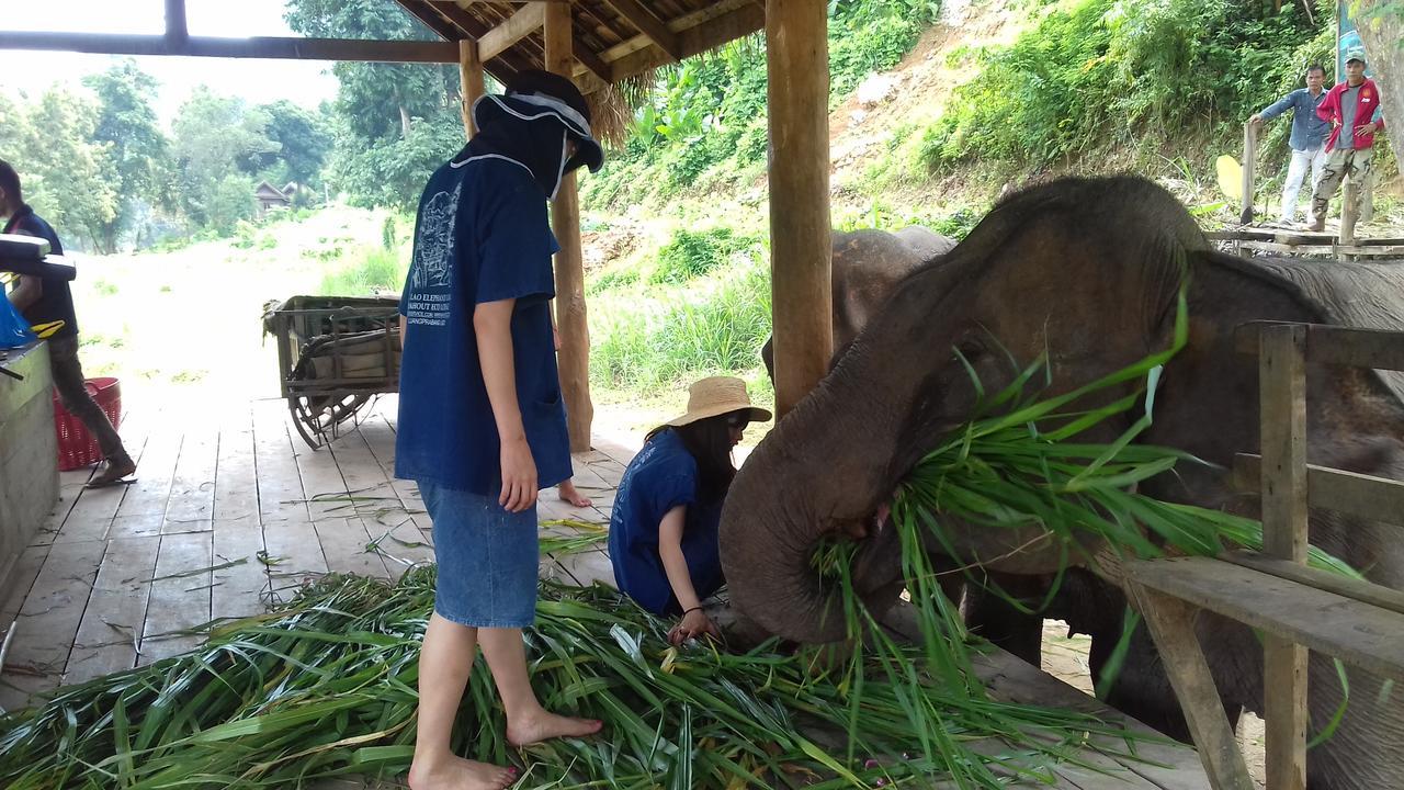 Mahout Hotel Luang Prabang Zewnętrze zdjęcie